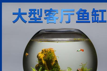 鱼缸玻璃上有像油印花纹