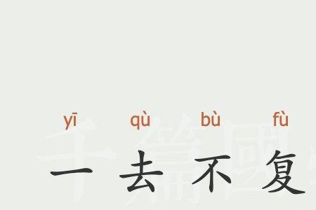 无去无回是词语吗