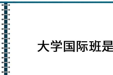 大学的国际班是什么性质