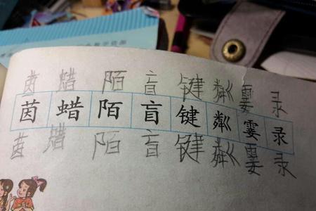 鹰字同音字有多少个