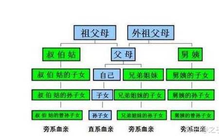 亲属证明奶奶和孙女到那开