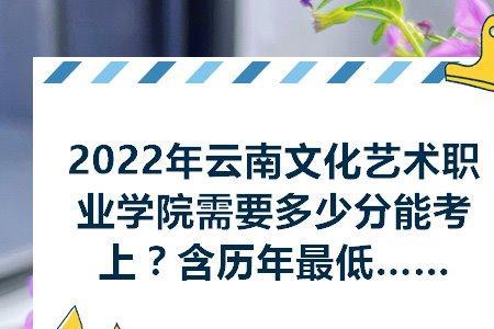 云艺2022文化分数线多少