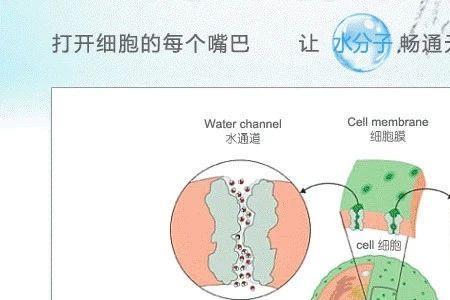 水通道蛋白膜的优缺点