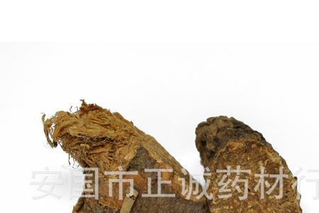 臭阿魏可以加活饵吗