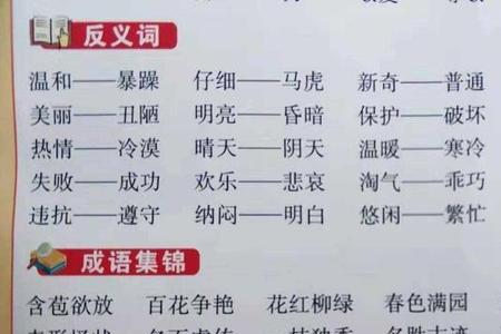 仔细一看的近义词