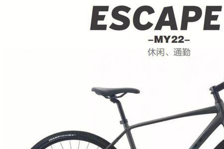 escape1为什么那么火