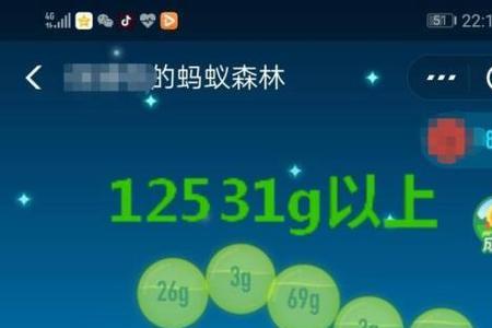 蚂蚁能量1g代表什么