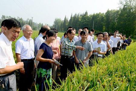 信阳水稻种植时间