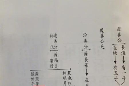 苏轼苏辙后人全国分布情况