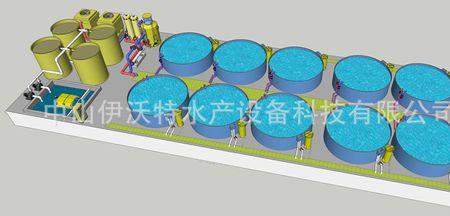 高密度养殖循环水养殖鲈鱼成本