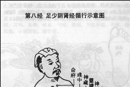 后循是什么意思