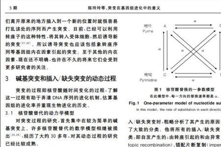 漂变与突变区别