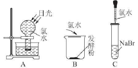 如何测定新制氯水的ph