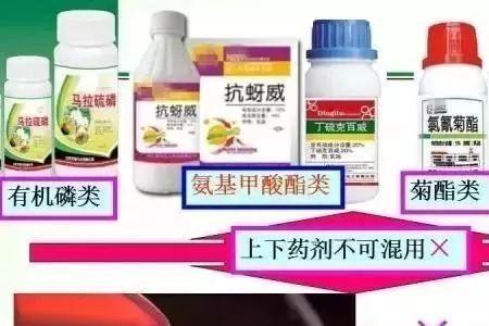 辛硫磷产生药害怎么办