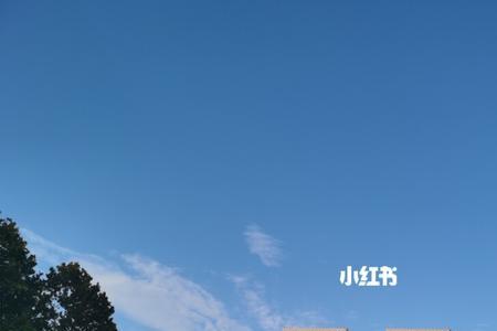 青岛大学几个校区哪个环境好