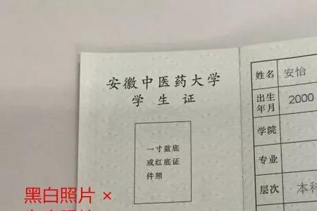 网上确认学生证怎么拍