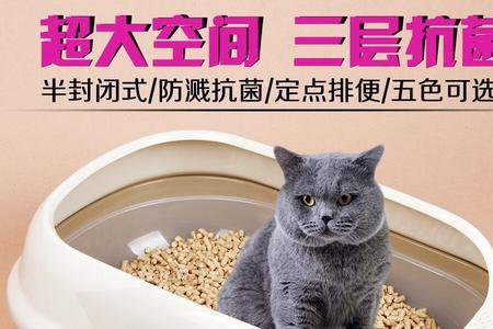 猫为什么喜欢把玩具叼厕所玩