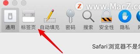 safari浏览器怎么关闭限制功能
