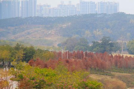 南宁龟山公园坐几路车去