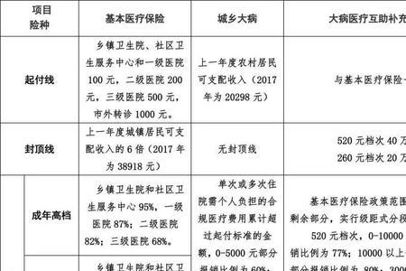 医保内全额报销是什么意思