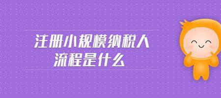 什么是注册人的信息