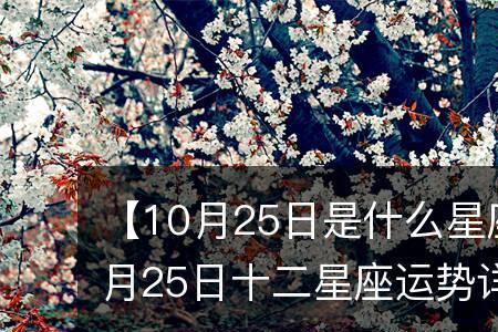 10月38日是什么星座