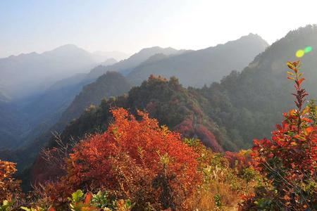 团标峪红叶最佳观赏时间