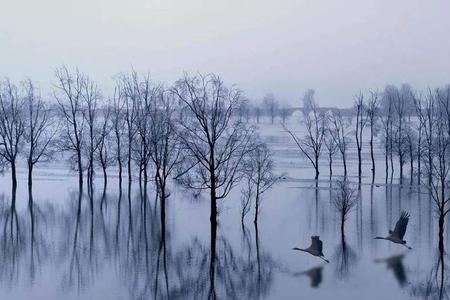 一念成水相思成湖是什么意思