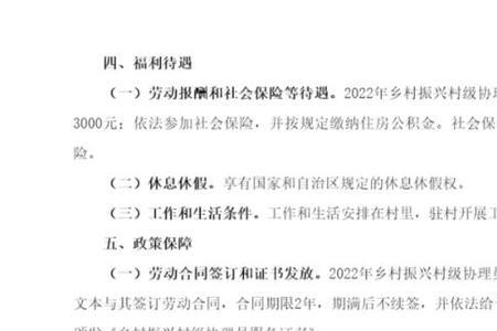 乡村振兴协理员可以考公考编吗