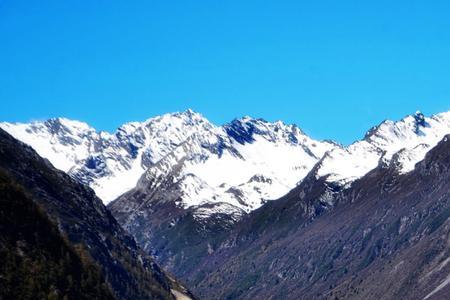 描写雪山树林的段落