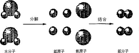 水分子和钙离子哪个大