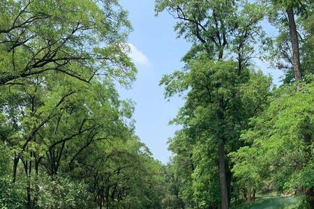 简在沼泽山庄里的性格特点