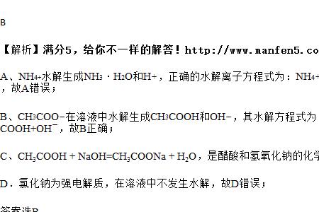 HCl水解离子方程式