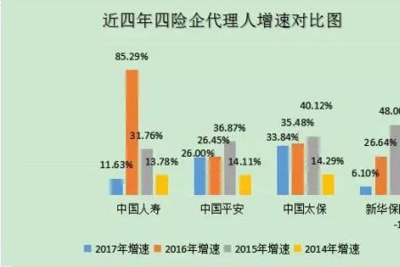 什么是保障性收入