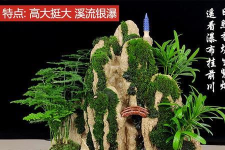 什么植物会流水