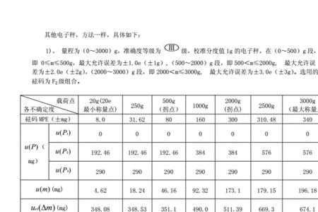 电子秤示值误差表