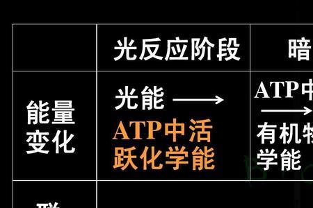 化学反应实质