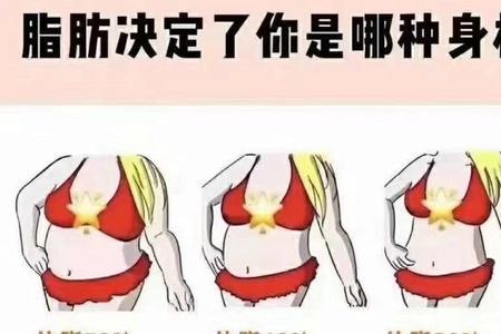 正力型体型是什么意思