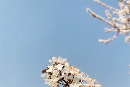 春风化雨夏露凝香的意思