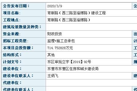 公招项目什么意思