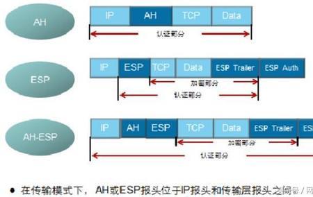 sd-wan和ipsec区别