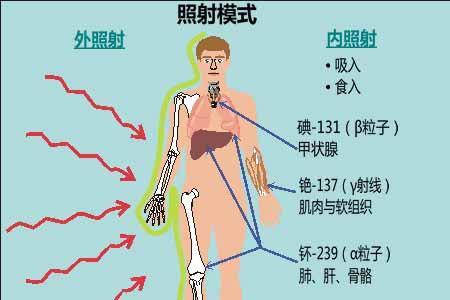 电离辐射和放射性的区别