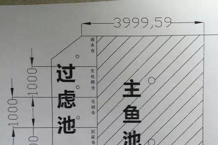 鱼池过滤仓尺寸