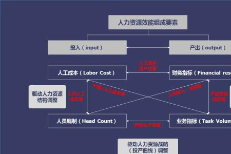 人力资源和人力资本的基础