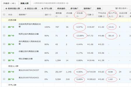 直通车达摩可以自定义人群吗