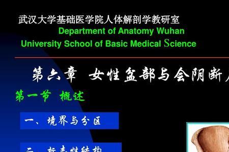 女性医学解剖学哪个专业好