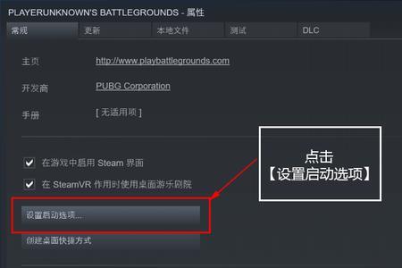 steam启动项前要加空格吗