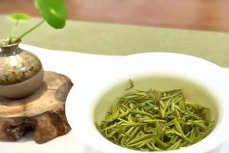 雅韵茶叶是什么茶