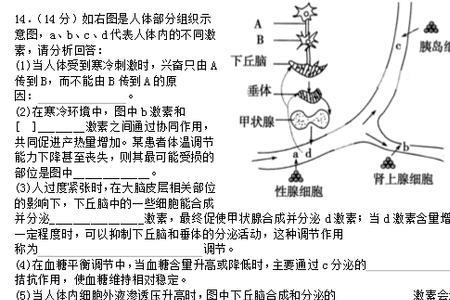 高中生物科三怎么准备