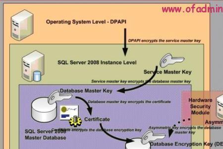 sql server的数据库由什么组成